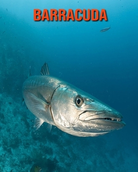 Paperback Barracuda: Immagini bellissime e fatti interessanti Libro per bambini sui Barracuda [Italian] Book