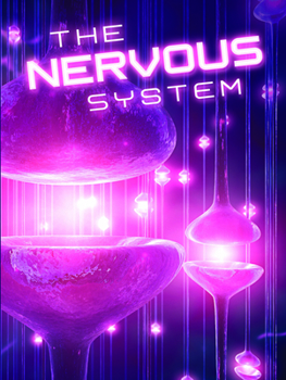 Paperback The Nervous System Book