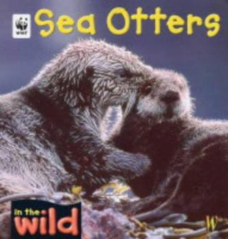 Paperback Sea Otters Book