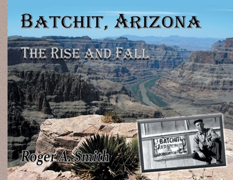 Paperback Batchit, Arizona: The Rise and Fall Book
