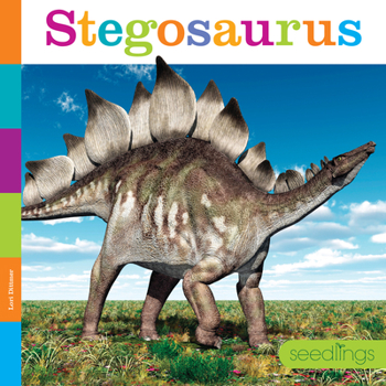 Library Binding Stegosaurus Book