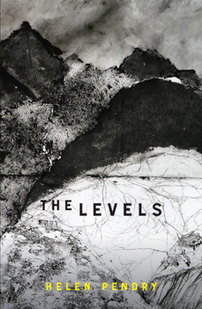 Paperback The Levels Book