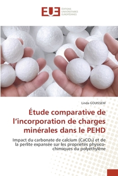 Étude comparative de l'incorporation de charges minérales dans le PEHD