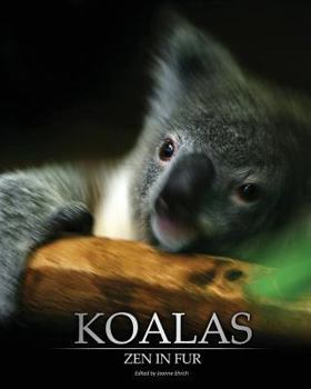 Paperback Koalas: Zen In Fur (Trade Color Edition) Book