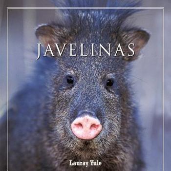 Hardcover Javelinas Book
