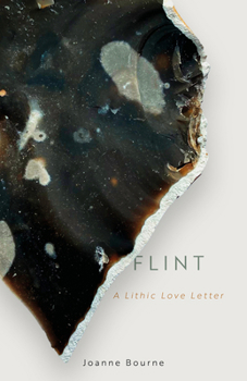Hardcover Flint: A Lithic Love Letter Book