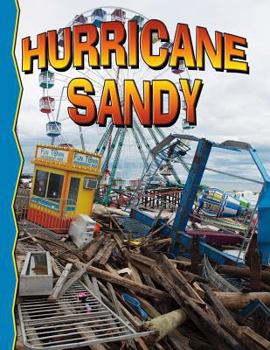 Paperback Superstorm Sandy Book