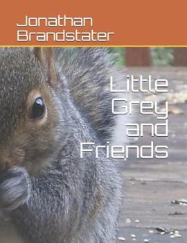 Paperback Little Grey and Friends Book