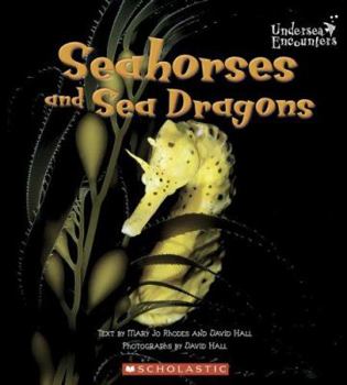 Paperback Seahorses and Sea Dragons Book