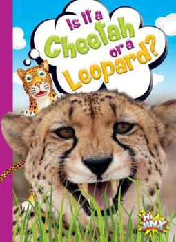 Paperback Is It a Cheetah or a Leopard? Book
