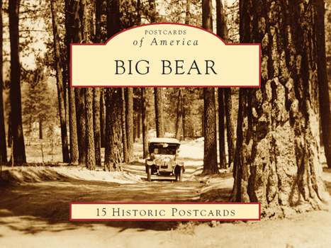 Loose Leaf Big Bear Book