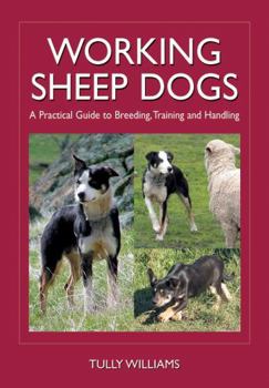 Paperback Working Sheep Dogs: A Practical Guide to Breeding, Training and Handling Book