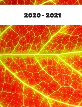 2020-2021: Monthly Planner 2020-2021