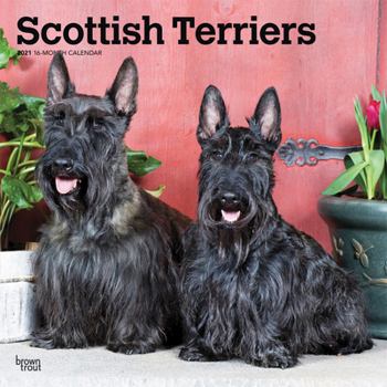 Calendar Scottish Terriers 2021 Square Book