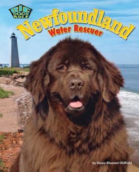 Newfoundland: Water Rescuer - Book  of the Big Dogs Rule