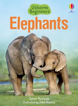 Elephants - Book  of the Usborne Beginners
