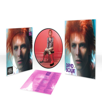 Vinyl Space Oddity  Picture Disc Book