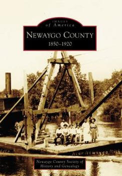 Paperback Newaygo County 1850-1920 Book