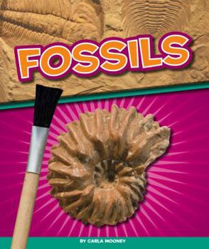 Library Binding Fossils Book