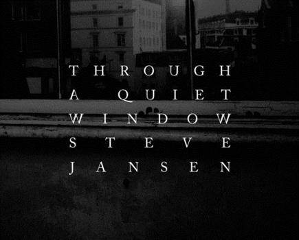 Hardcover Through a Quiet Window: Steve Jansen Book