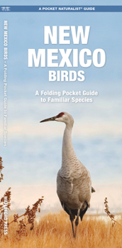 New Mexico Birds: A Folding Pocket Guide to Familiar Species