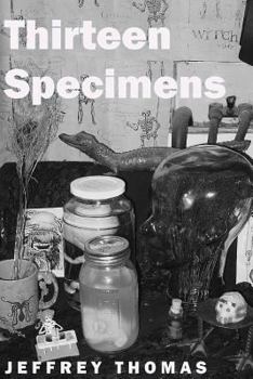 Paperback Thirteen Specimens Book