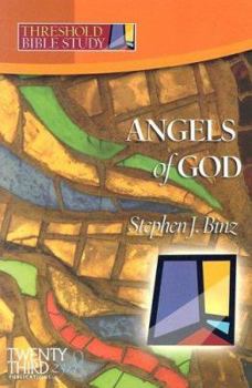 The Angels of God (Threshold Bible Study) - Book  of the Threshold Bible Study