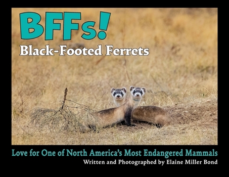 BFFs! Black-Footed Ferrets : Love for One of North America's Most Endangered Mammels