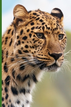 Paperback Wo ist die Beute im Notizbuch [German] Book