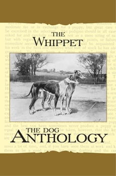 Paperback The Whippet - A Dog Anthology (A Vintage Dog Books Breed Classic) Book