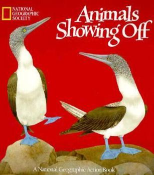 Hardcover Pop-Up: Animals Showing Off Book