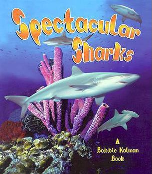Spectacular Sharks