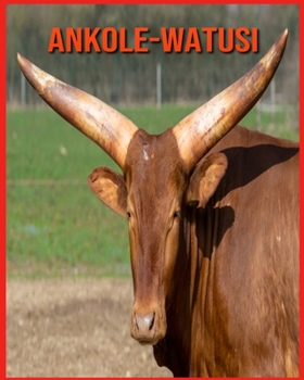 Ankole-Watusi: Immagini incredibili e fatti divertenti sui Ankole-Watusi