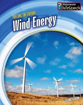 Paperback Wind Energy Book