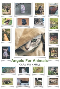 Paperback Angels for Animals Book