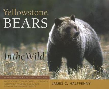 Paperback Yellowstone Bears in the Wild Book