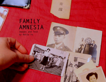 Hardcover Family Amnesia Book