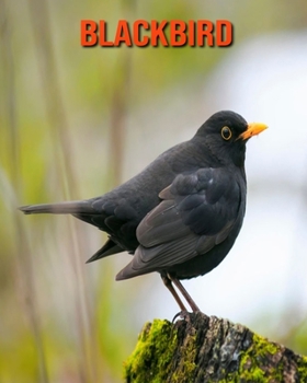 Paperback Blackbird: Amazing Facts & Pictures Book