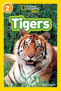 Paperback Tigers Book