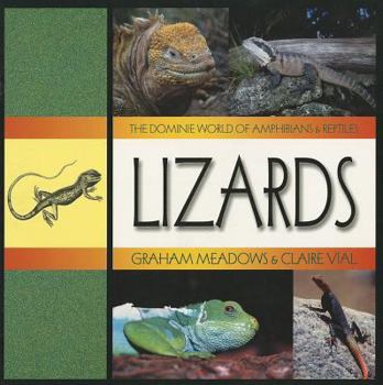 Paperback Lizards Book