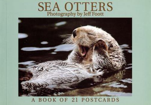 Card Book Sea Otters Book