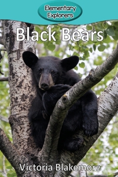 Black Bears (40)