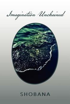 Paperback Imagination Unchained Book