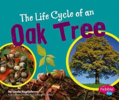 Hardcover The Life Cycle of an Oak Tree Book