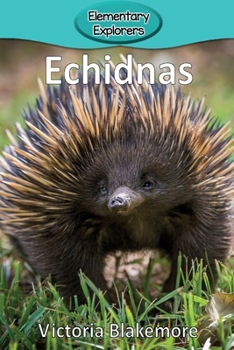 Paperback Echidnas Book