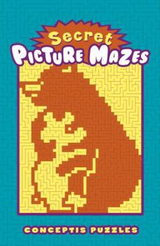 Paperback Secret Picture Mazes Book