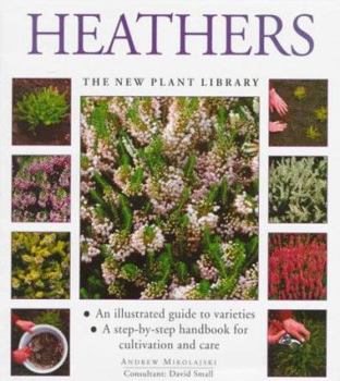 Heathers (Little Plant Library)