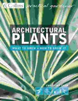 Paperback Architectural Plants : Ferns, Palms, Hostas and Yuccas Book