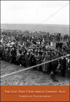 The Last Time I Saw Amelia Earhart: Poems