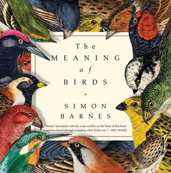 Hardcover The Meaning of Birds Book